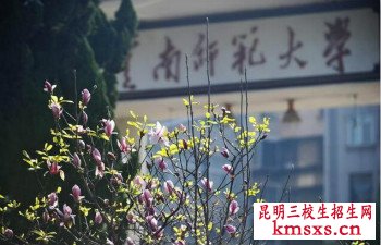 云南师范大学三校生可以报考吗？