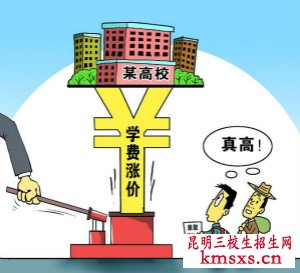 云南省专科可报专业李学费